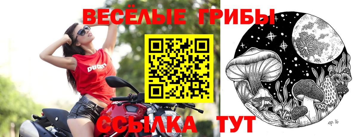 наркошоп  Псилоцибиновые грибы Psilocybine cubensis  Вход с VPN  Галлюциногенные грибы Psilocybine cubensis  Полысаево 