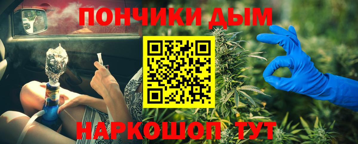 Конопля Bruce Banner  Каннабис семена  Каннабис сатива  Вход с VPN  Полысаево 